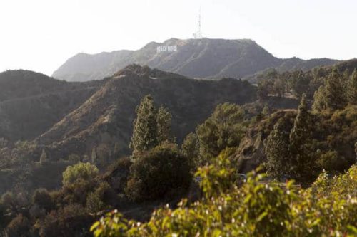 sejours agency Séjour linguistique campus UCLA à Los Angeles