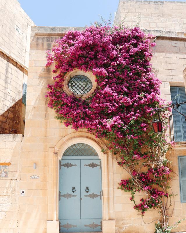 Séjour immersion linguistique malte